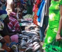 Le taux d’inflation annuel établi à 0,7% en 2013 Le taux d’inflation annuel établi à 0,7% en 2013