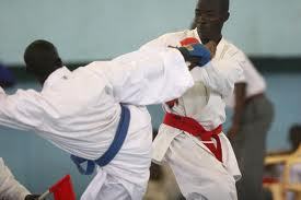 Arts martiaux - Karaté Compétitions 2014 : Les grandes dates de la saison