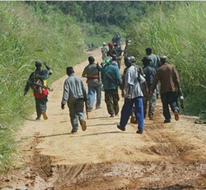 Des hommes armés de fusils pillent un village au nord de Diouloulou Des hommes armés de fusils pillent un village au nord de Diouloulou