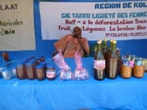 Kolda: quatrième édition de la foire régionale