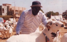 Gallo Thiello dans de beaux draps Gallo Thiello dans de beaux draps