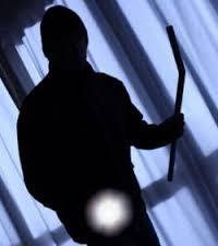 Il vole un chien parce que…