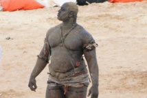 Balla Gaye 2, numéro un des lutteurs… Balla Gaye 2, numéro un des lutteurs…