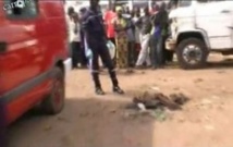 Infanticide à Guédiawaye : Le corps sans vie d’un nouveau né découvert à Hamo 4 Infanticide à Guédiawaye : Le corps sans vie d’un nouveau né découvert à Hamo 4