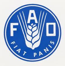 PSE: la FAO adapte son cadre de programmation au Sénégal
