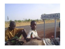 Déclarations de naissances : l'état civil de Tambacounda note un changement d'attitude