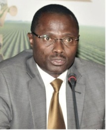 Plus de 70 milliards FCFA dépensés chaque année pour l’importation des produits horticoles (officiel) Plus de 70 milliards FCFA dépensés chaque année pour l’importation des produits horticoles (officiel)