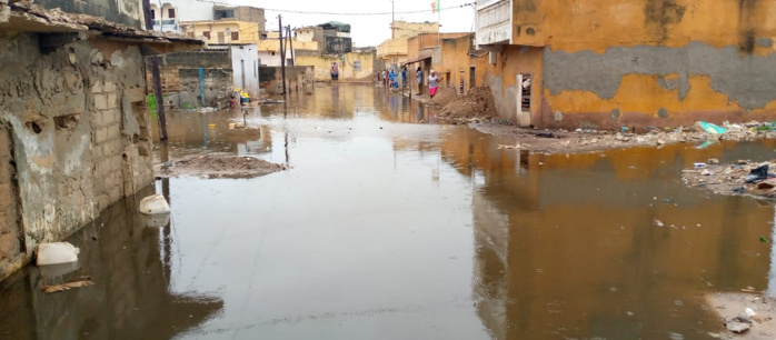 Diamaguène Sicap Mbao: Découvrez le calvaire des inondations que vit cette famille depuis 24 ans Diamaguène Sicap Mbao: Découvrez le calvaire des inondations que vit cette famille depuis 24 ans