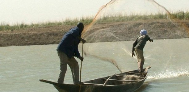 UNE HISTOIRE DE VOL DE POISSON VIRE AU DRAME !