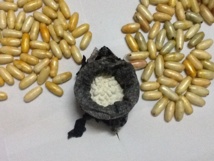 Cocaïne : Plus de 600 milliards FCFA en Afrique de l’Ouest