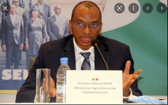 Moussa Baldé, ministre de l’Enseignement supérieur : « L’urgence sera de s’occuper de l’orientation des nouveaux bacheliers…»