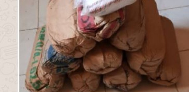 Nguéniène : La gendarmerie de Joal saisit 305 kg de drogue, un suspect arrêté