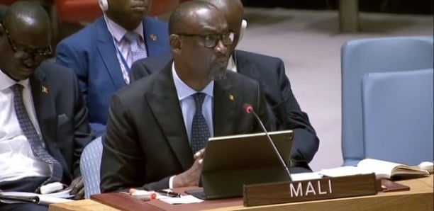 Origine de la crise sécuritaire au Mali : Abdoulaye Diop accuse la France et l'intervention en Libye