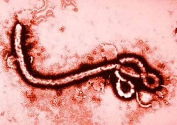 Ebola-Eva Marie Coll Seck n'est plus sereine: « C’est une épidémie qui ne va peut être pas épargner le Sénégal »