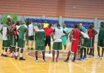 Les Lions dans "des conditions très favorables" à Malaga (entraîneur)