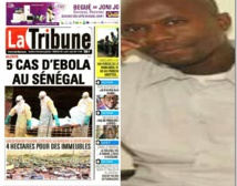Diffusion de fausses informations : Le (Dirpub) de la Tribune Félix Nzalé jugé ce matin