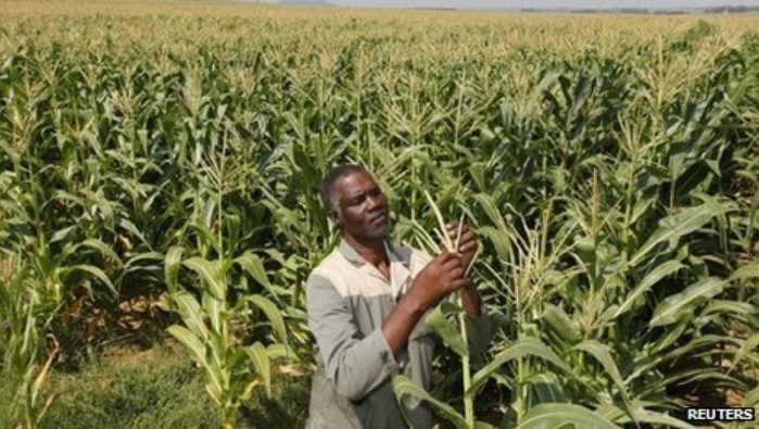 Les Ghanéens deux fois moins pauvres qu’il y a 20 ans
