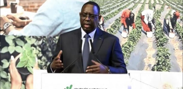 Le Sénégal célèbre la Journée nationale de la décentralisation, ce dimanche