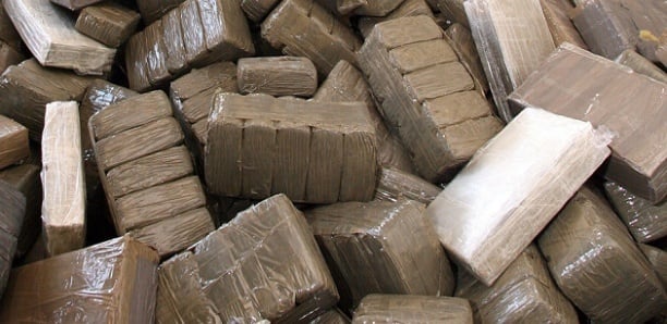 Saisie de 28 kg de drogue : Un sexagénaire mord à l'appât de la BR de Keur Massar