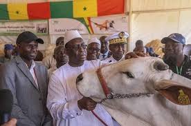 Journée de l’élevage: Les instructions fermes du président Macky Sall