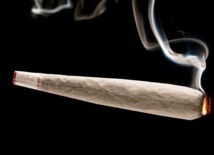 Dahra : 4 personnes déférées à Louga pour détention et usage de chanvre indien Dahra : 4 personnes déférées à Louga pour détention et usage de chanvre indien