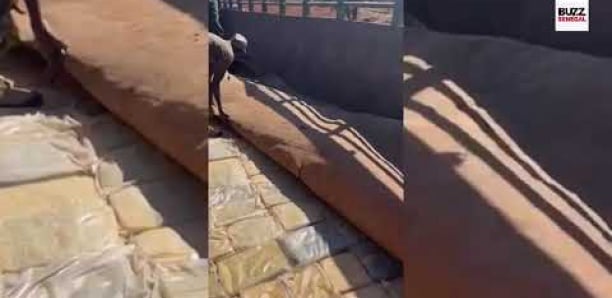 Grosse saisie des douanes à Kidira : Le chauffeur s’enfuit et abandonne 430 kg de cannabis sur place