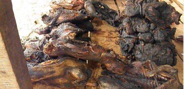 Tambacounda : La gendarmerie démantèle un réseau de vente de viande de singe et de chacal Tambacounda : La gendarmerie démantèle un réseau de vente de viande de singe et de chacal