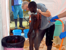 Les enseignants invités à intégrer la prévention contre Ebola à Vélingara Les enseignants invités à intégrer la prévention contre Ebola à Vélingara