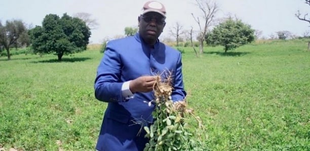 Souveraineté alimentaire : Macky Sall accélère la modernisation de l'agriculture