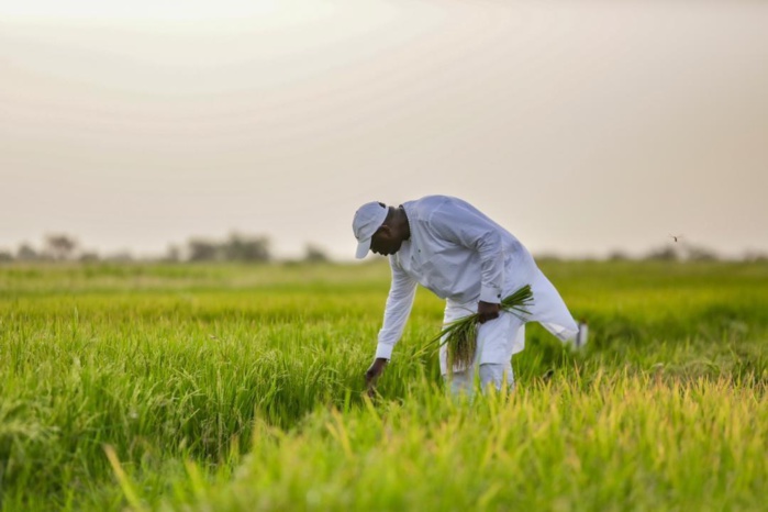 Chômage et emploi : les derniers chiffres ! Chômage et emploi : les derniers chiffres !