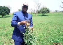 Macky Sall annonce la suppression de la TVA sur le riz local