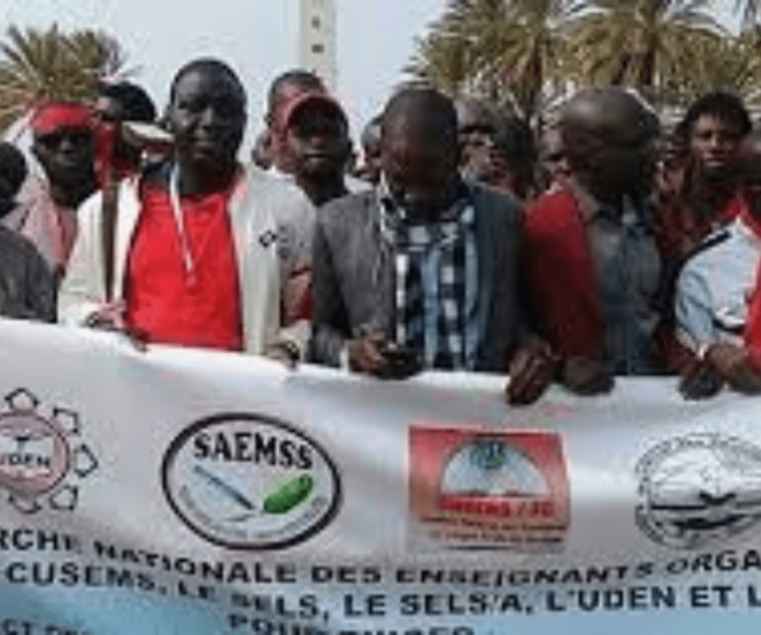 Élections de représentativité dans le secteur de l’éducation : Les résultats sont tombés ! Élections de représentativité dans le secteur de l’éducation : Les résultats sont tombés !