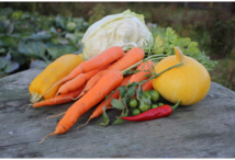 Anti-fatigue, anti-kilos : la bonne alimentation de l'hiver Anti-fatigue, anti-kilos : la bonne alimentation de l'hiver