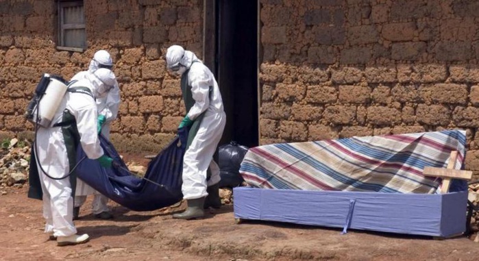 Guinée équatoriale: 9 morts confirmées dues au virus de Marburg Guinée équatoriale: 9 morts confirmées dues au virus de Marburg
