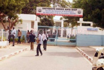 Après deux semaines de grève de la faim, les diplômés de la FASTEF toujours déterminés Après deux semaines de grève de la faim, les diplômés de la FASTEF toujours déterminés