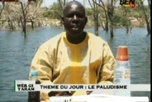 "Médecine" illégale : Samba Ndiaye édifié sur son sort le 15 janvier 2015! "Médecine" illégale : Samba Ndiaye édifié sur son sort le 15 janvier 2015!