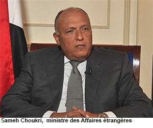 Le Caire veut renforcer ses relations avec les autres pays africains