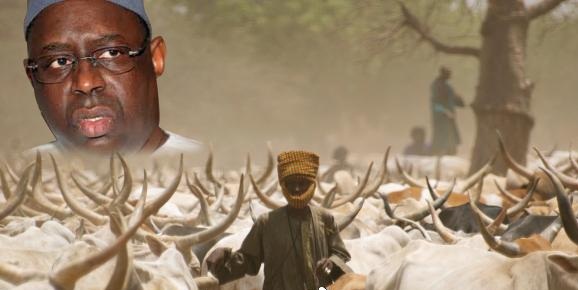 Audience : Macky offre 15 millions aux éleveurs