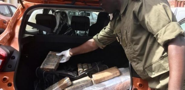 5 kg de cocaïne saisis à Léona Niassène