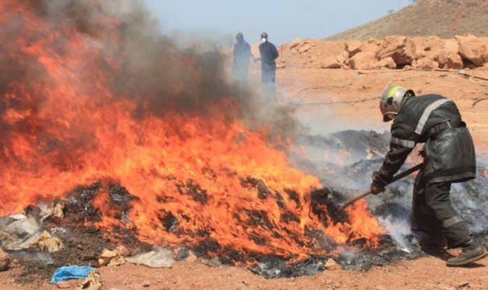 Saint-Louis : l’incinération de 200 kg de chanvre indien et 1 kg de drogue dure