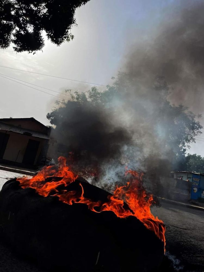 Ziguinchor : « La police a utilisé une ambulance pour s’approcher du domicile de Sonko… », Guy Marius Sagna