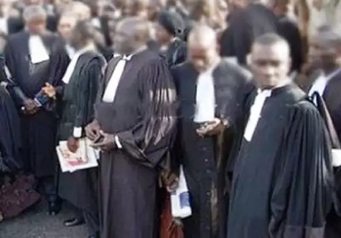 Comportement des avocats de la défense : La position de l'Ordre des avocats