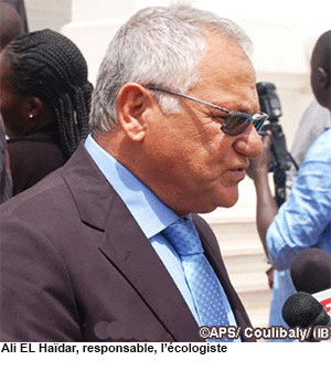 L'association Océanium compte reboiser 15.000 hectares de bambou