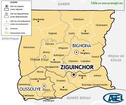 Collectivités locales : à Ziguinchor, "la grève est une réussite totale"