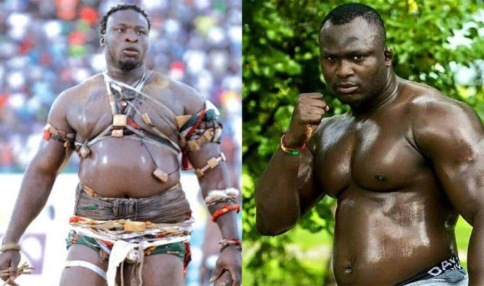 Modou Lo-Ama Baldé : le CNG a fixé la date du combat royal Modou Lo-Ama Baldé : le CNG a fixé la date du combat royal