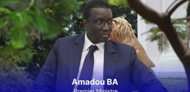 Amadou Ba : « Le Premier Ministre n’a pas le droit de déclarer sa candidature »