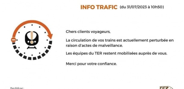 La circulation du TER suspendu : Voici la raison