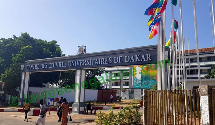 Université Cheikh Anta Diop-CAMES 2023 : taux de 88,5% de réussite enregistré Université Cheikh Anta Diop-CAMES 2023 : taux de 88,5% de réussite enregistré