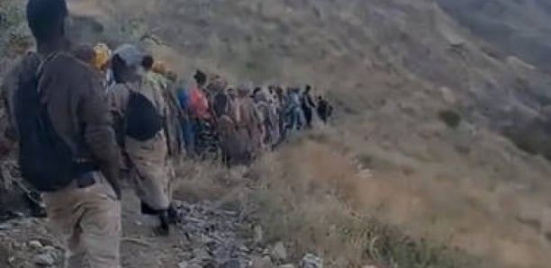 Des "centaines" de migrants éthiopiens tués par les gardes- frontières saoudiens (HRW)