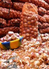 Consommation : Le prix de l’oignon connaît une baisse sur le marché actuellement (ASCOSEN)